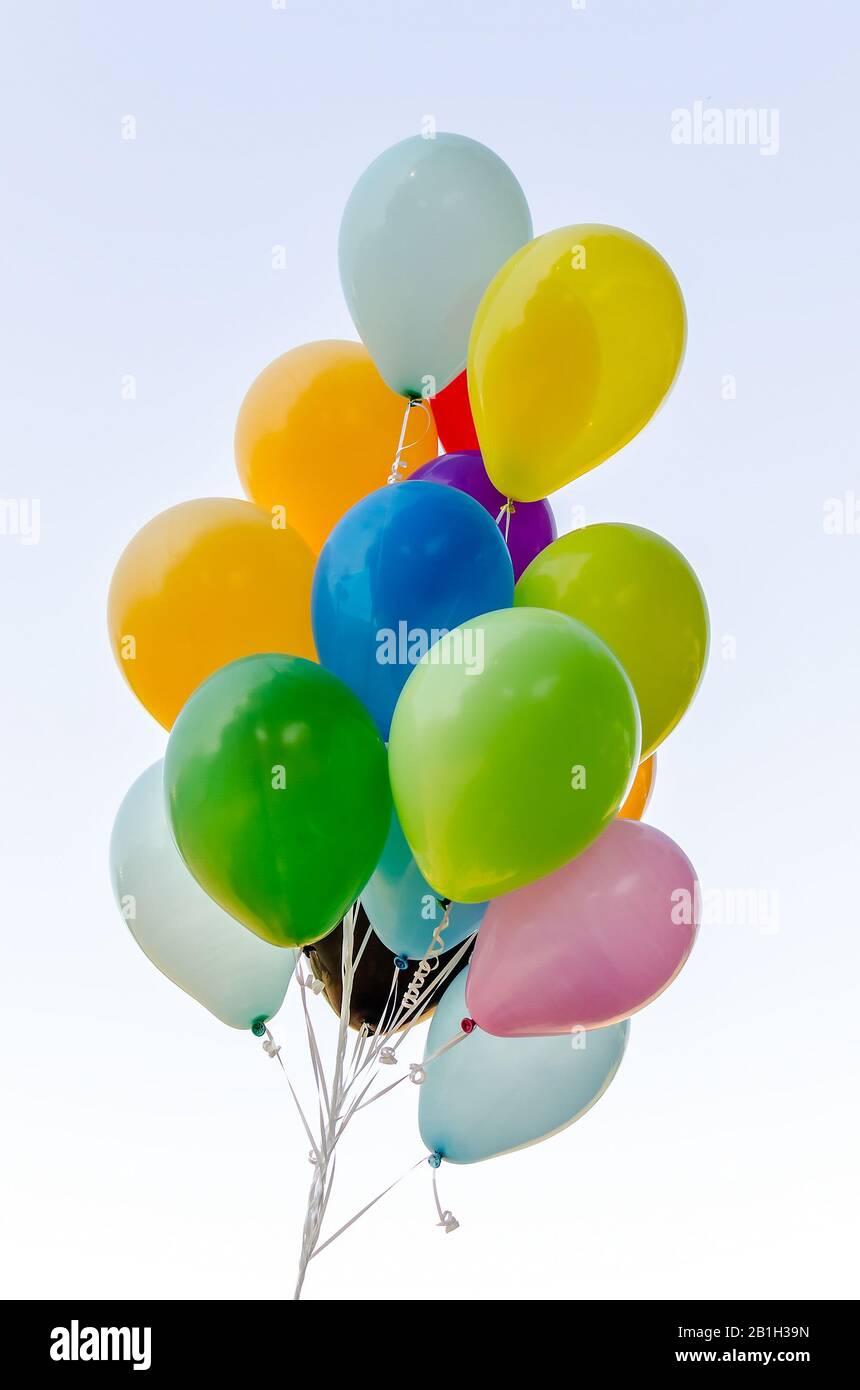 Colorful bunch of helium balloons isolated on background Stock Photo ...