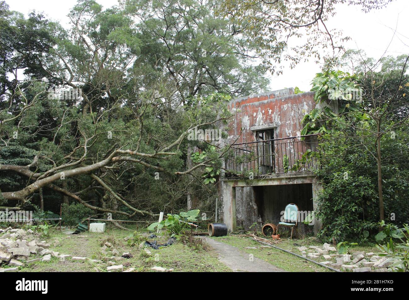 Abandoned house in the former tea plantation village, Lantau Island Stock Photo