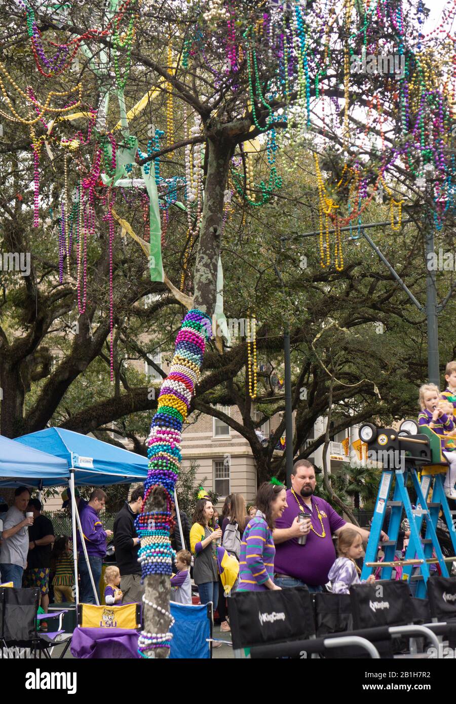 Mardi Gras Trees 2021  Mardi Gras New Orleans
