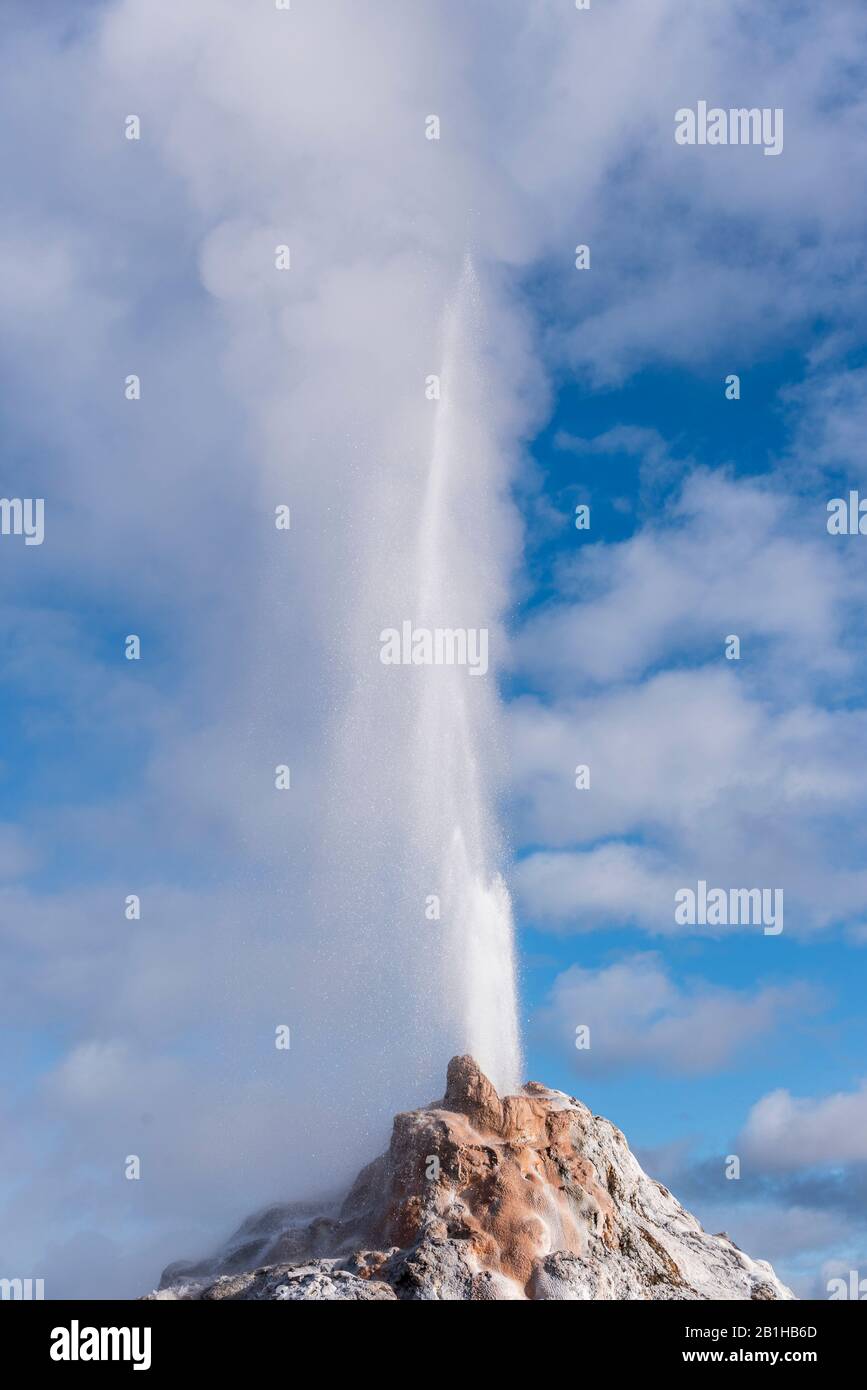 High pressure hot water shooting out of an erupting geyser. Stock Photo