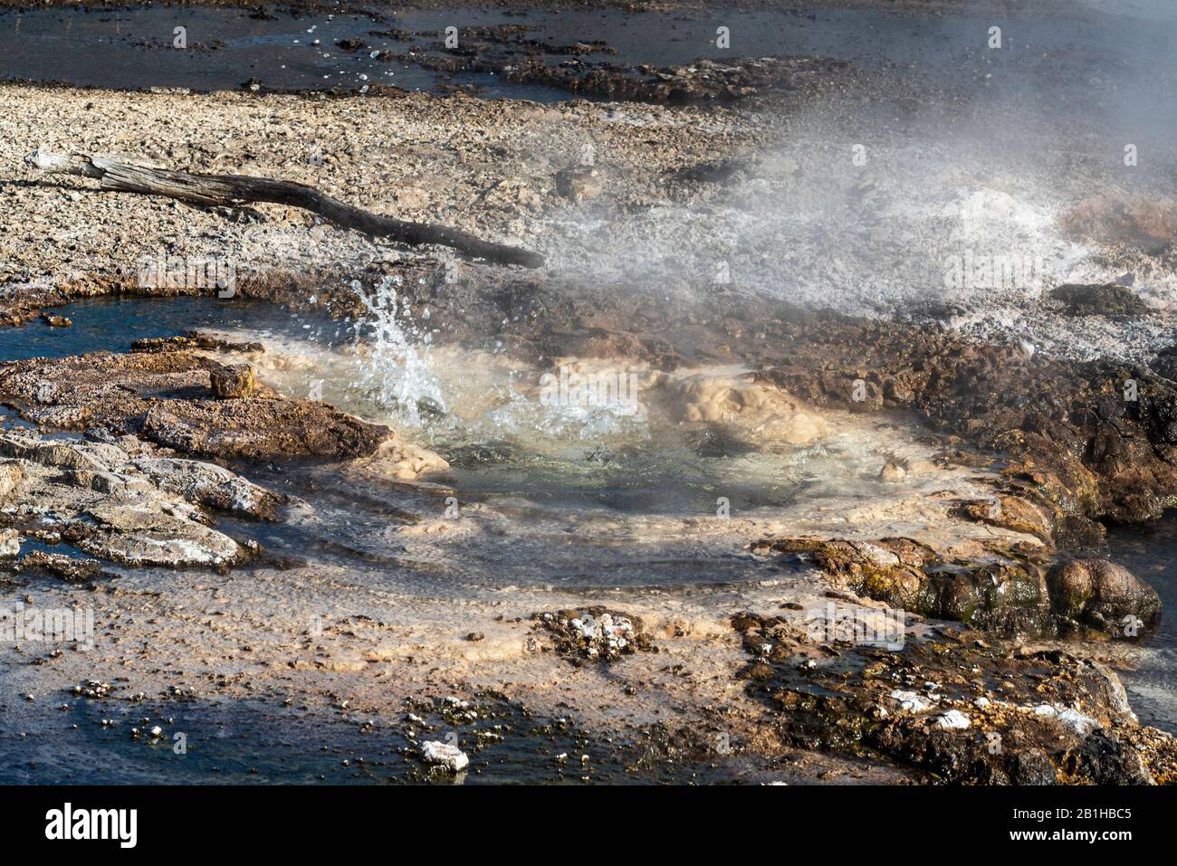 Field with bubbling hot springs and steam. Stock Photo