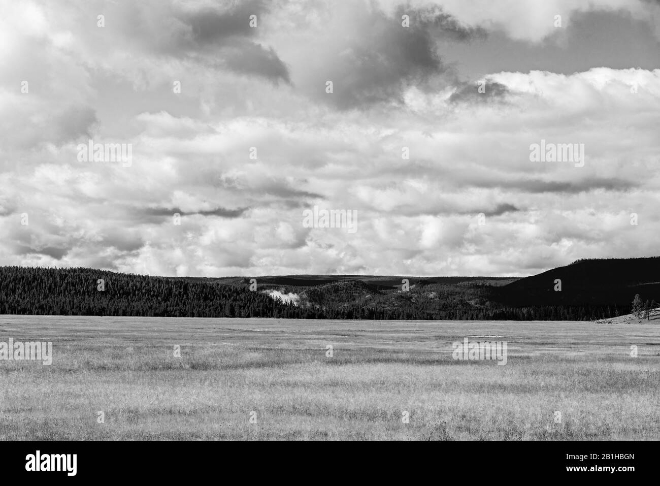 Black and white, fields of grain with hills and mountains beyond. White fluffy clouds in the sky. Stock Photo