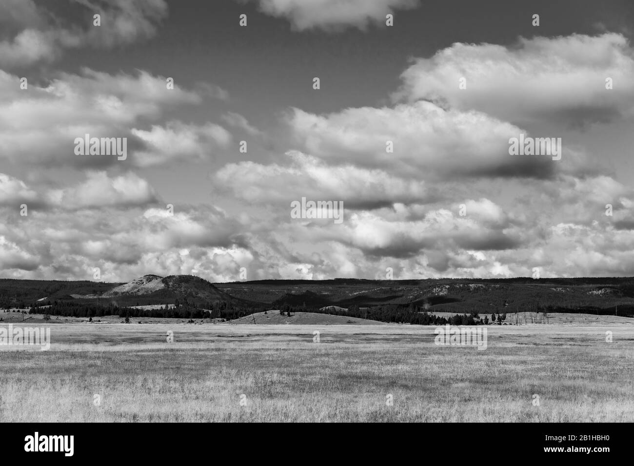 Black and white, fields of grain with hills and mountains beyond. White fluffy clouds in the sky. Stock Photo