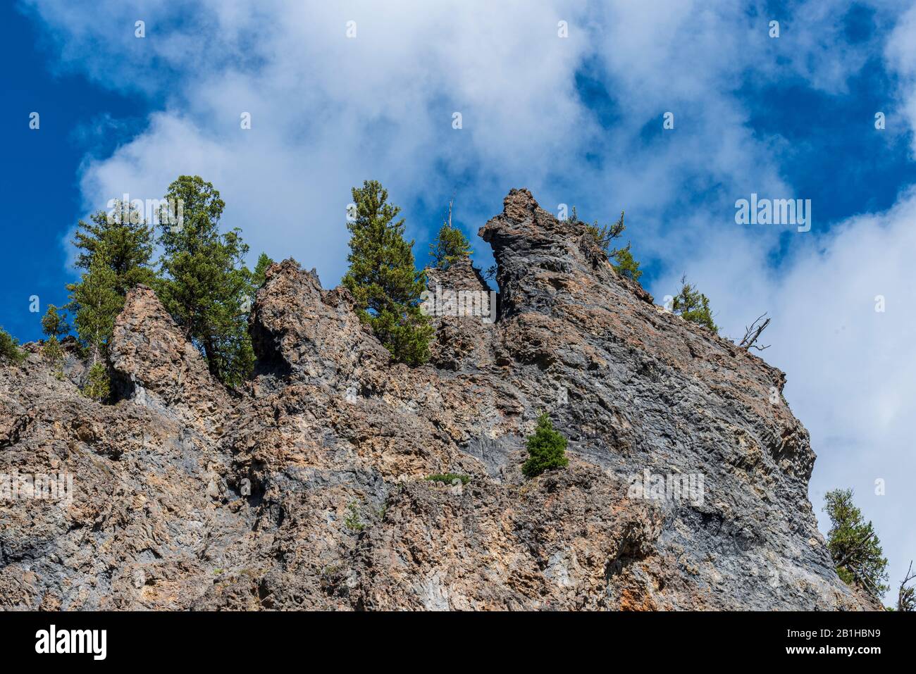 Feeling rough rocky texture tree hi-res stock photography and images ...