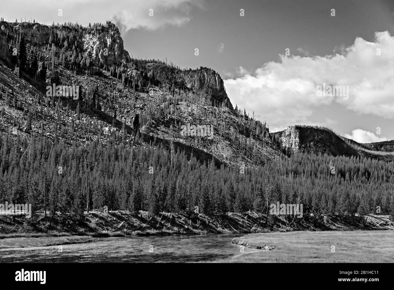 Black and white. Running river with pine tree forest on riverbank leadings to steep rocky mountainside. White clouds in sky. No masks required. Stock Photo