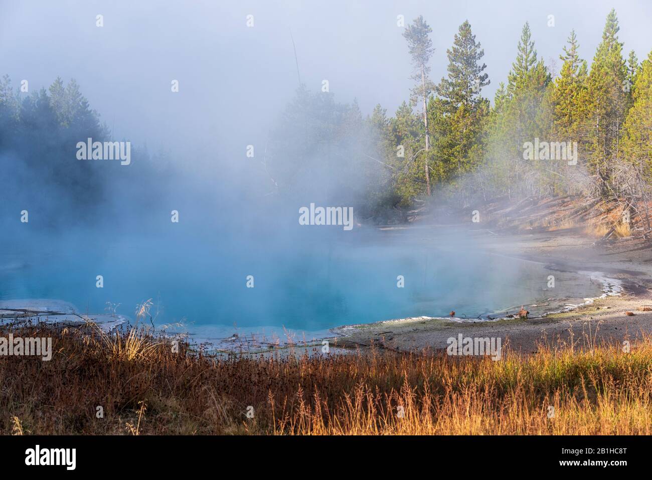 Bright blue hot spring on cold morning. Steam rising up off of warm water. Stock Photo