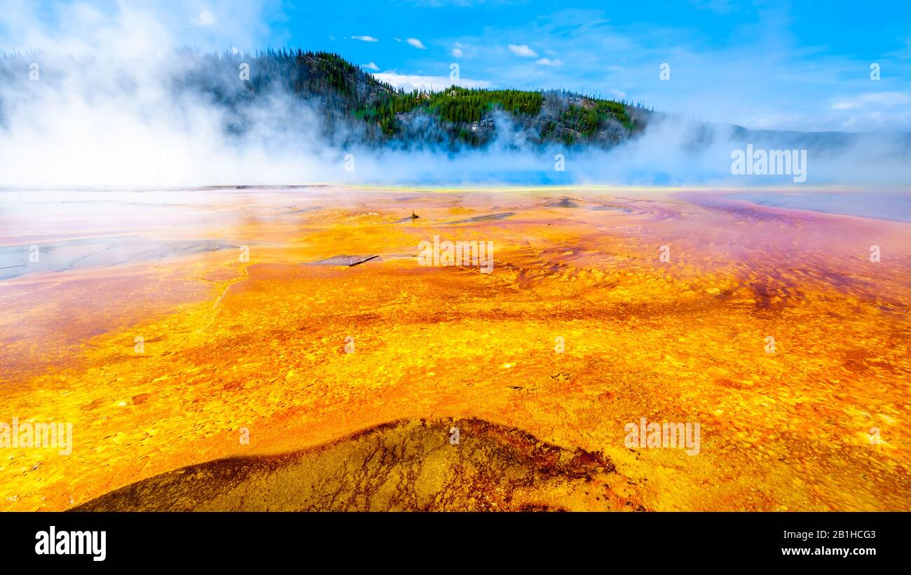 The colorful Bacterial Mats of the Grand Prismatic Spring in Yellowstone National Park, Wyoming, United Sates Stock Photo