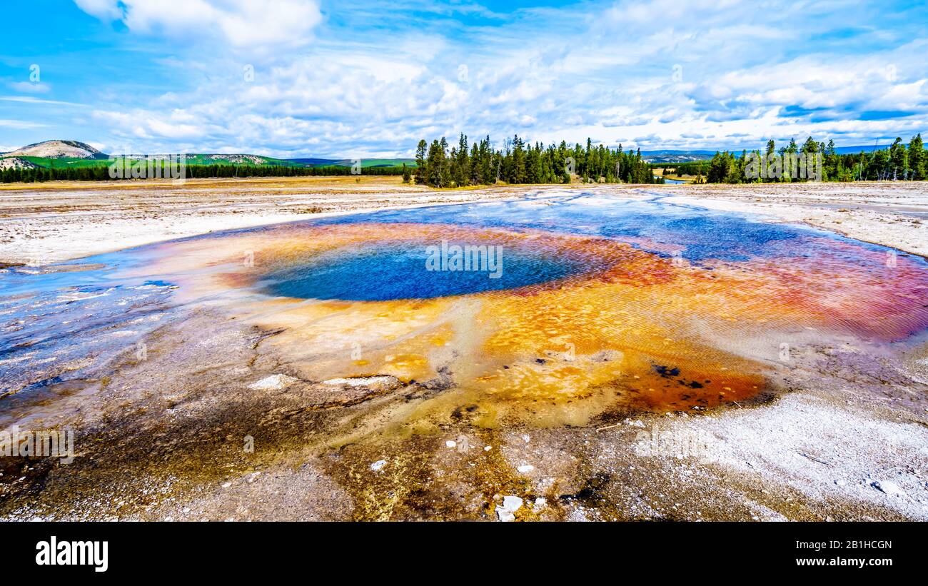 The Turquoise colored water of Opal Pool Geyser in Yellowstone National Park, Wyoming, United Sates Stock Photo