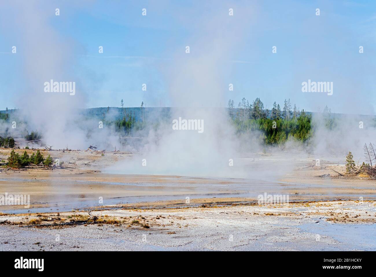 Steam rising up off of hot springs and geysers Stock Photo - Alamy