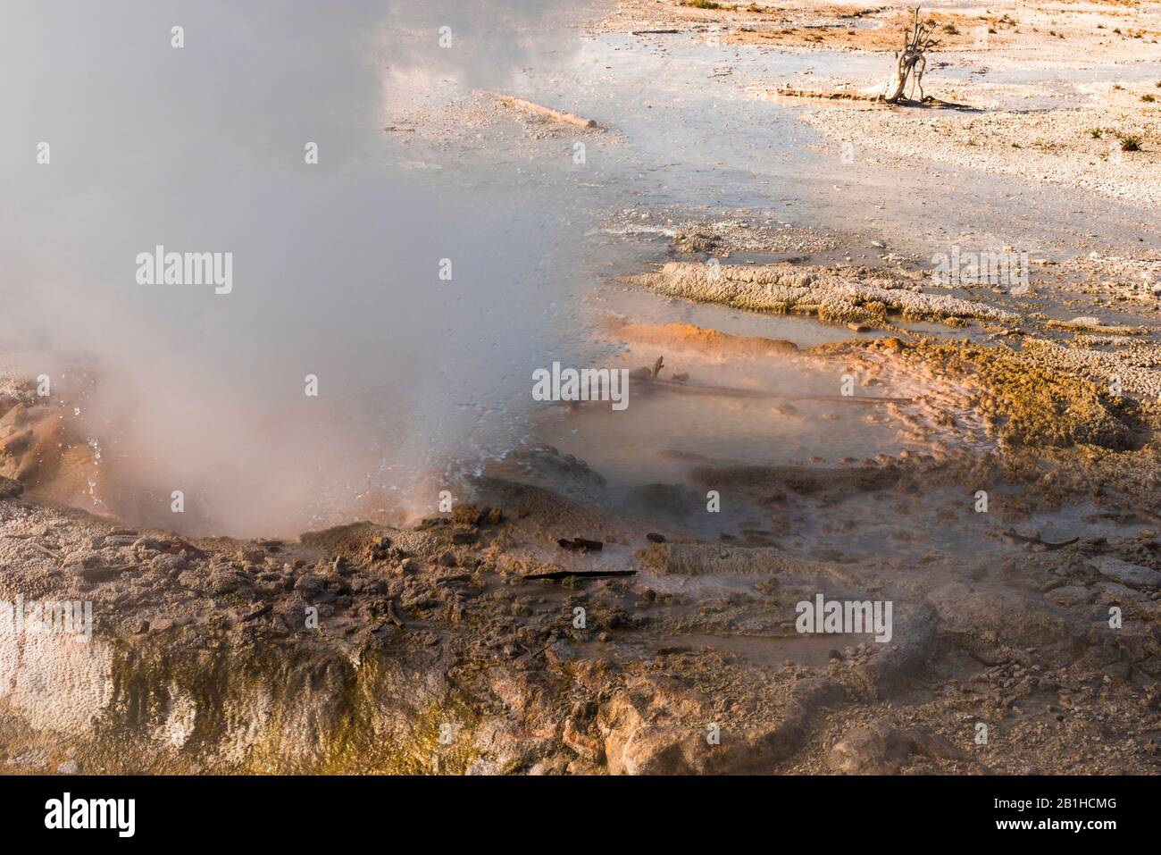 Steam rising up out of the ground at a geothermal vent. Stock Photo