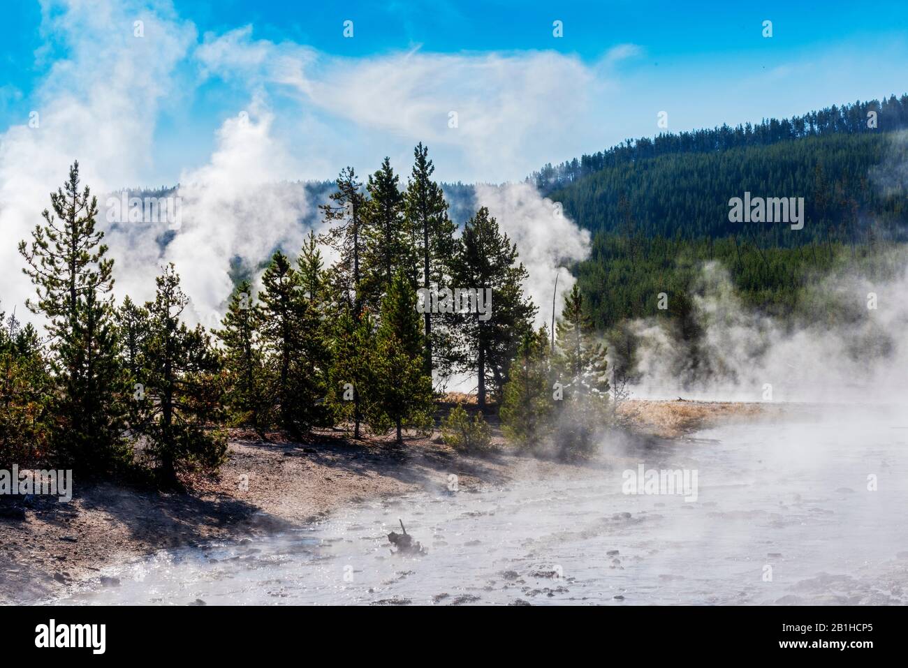 Boiling hot spring with steam rising up off water, heya day forest beyond under blue sky. Green forest covered hillsides. Stock Photo
