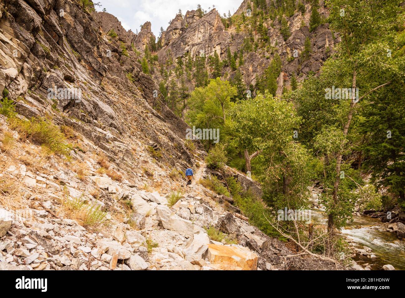 Beautiful view of the hiker with his dog hiking through the canyon of Idaho wilderness. Stock Photo