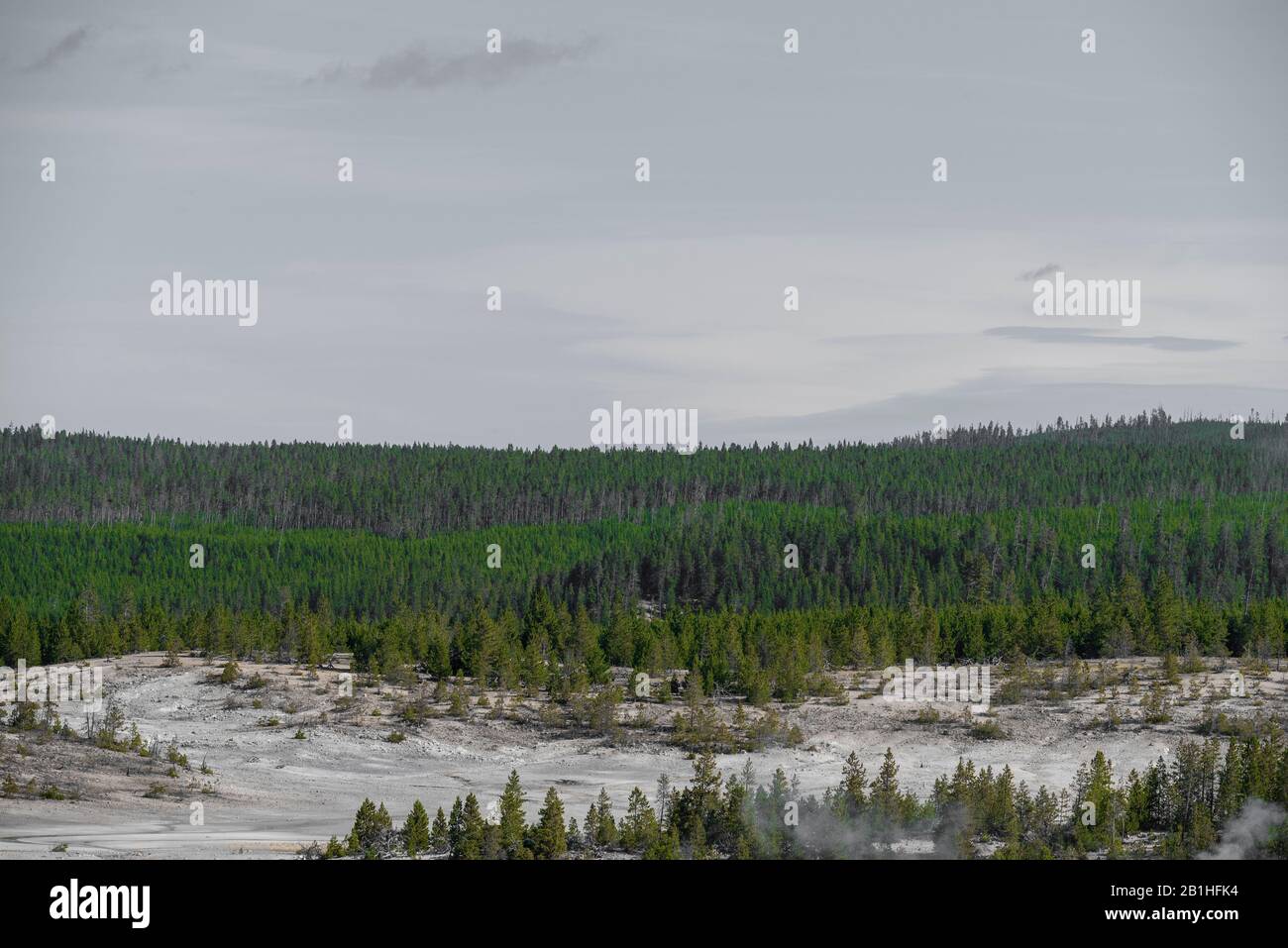 white valley and green forested hills Stock Photo