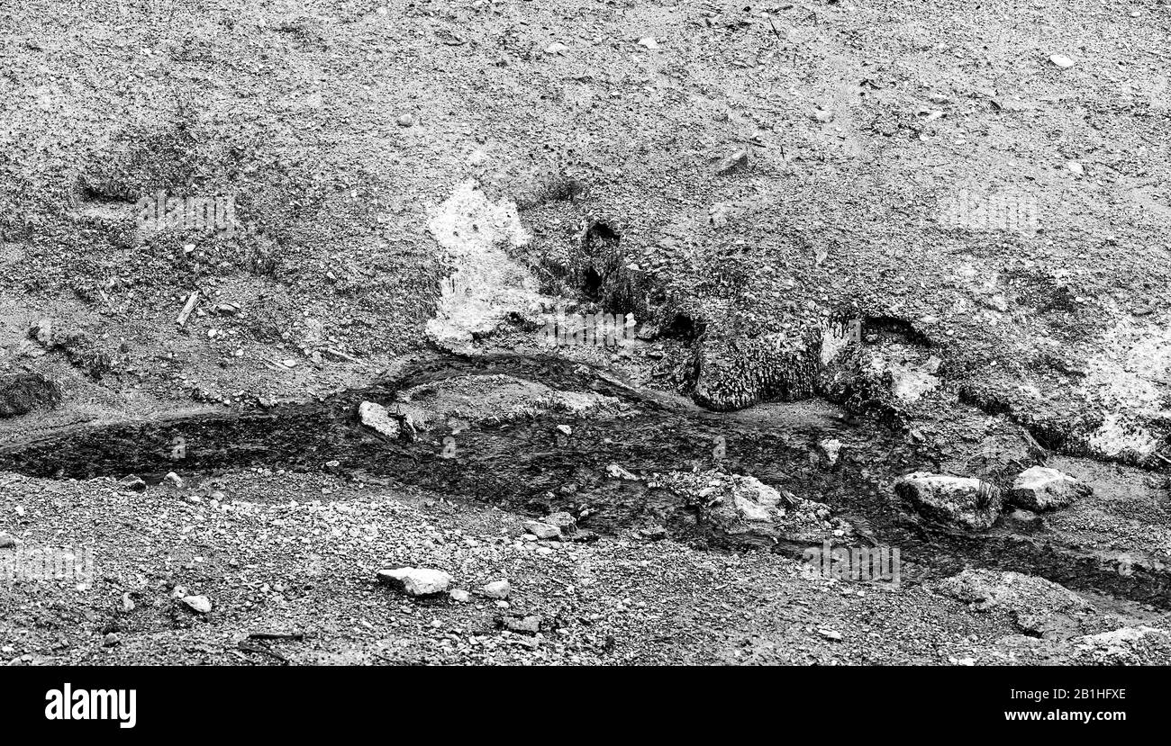 Black and white background of grainy soil. Stock Photo