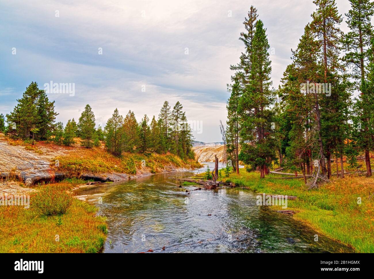 Slow running river cuts through green grassy valley with tall pine trees under a cloudy sky. Stock Photo