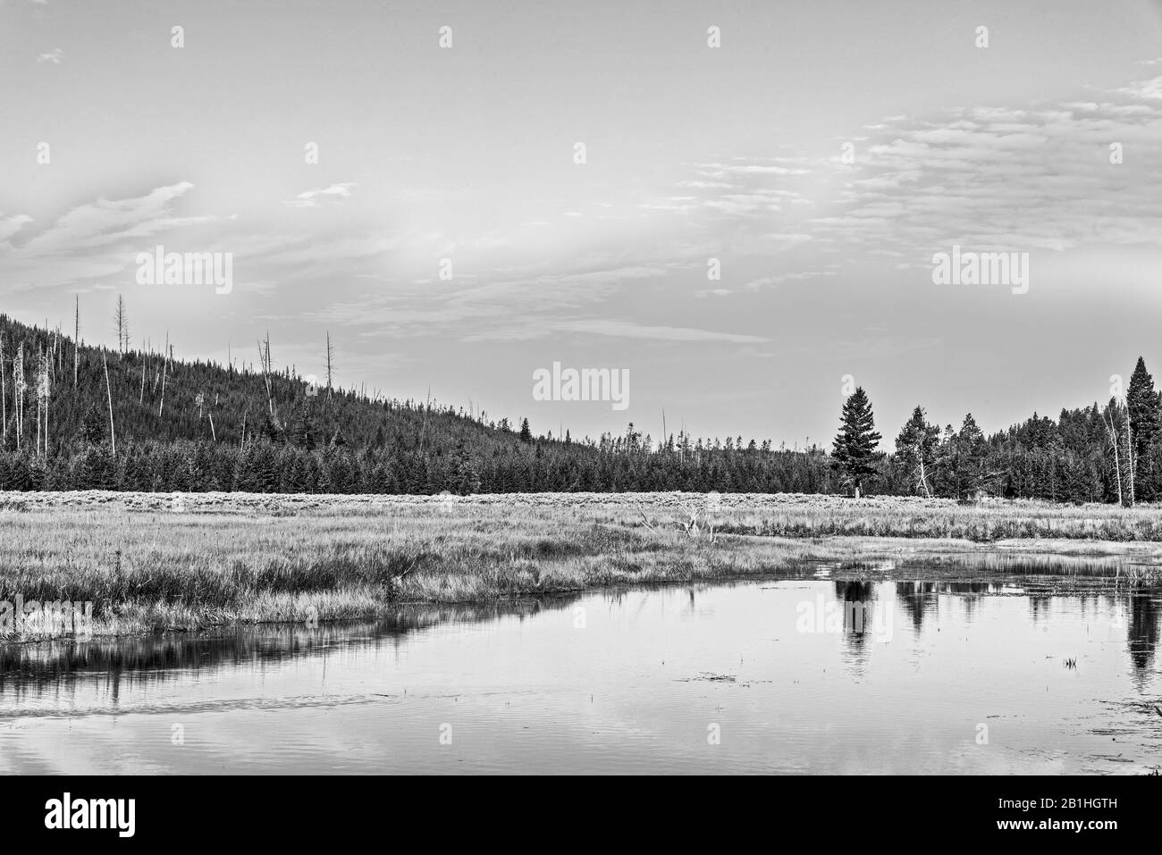 Calm lake reflecting the sky and trees, grassy valley with forest. Stock Photo