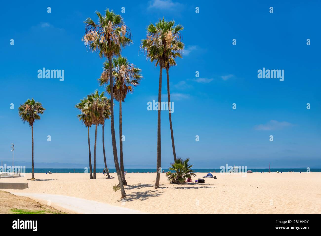 Palm trees on Venice Beach at sunny day, Los Angeles, California Stock Photo