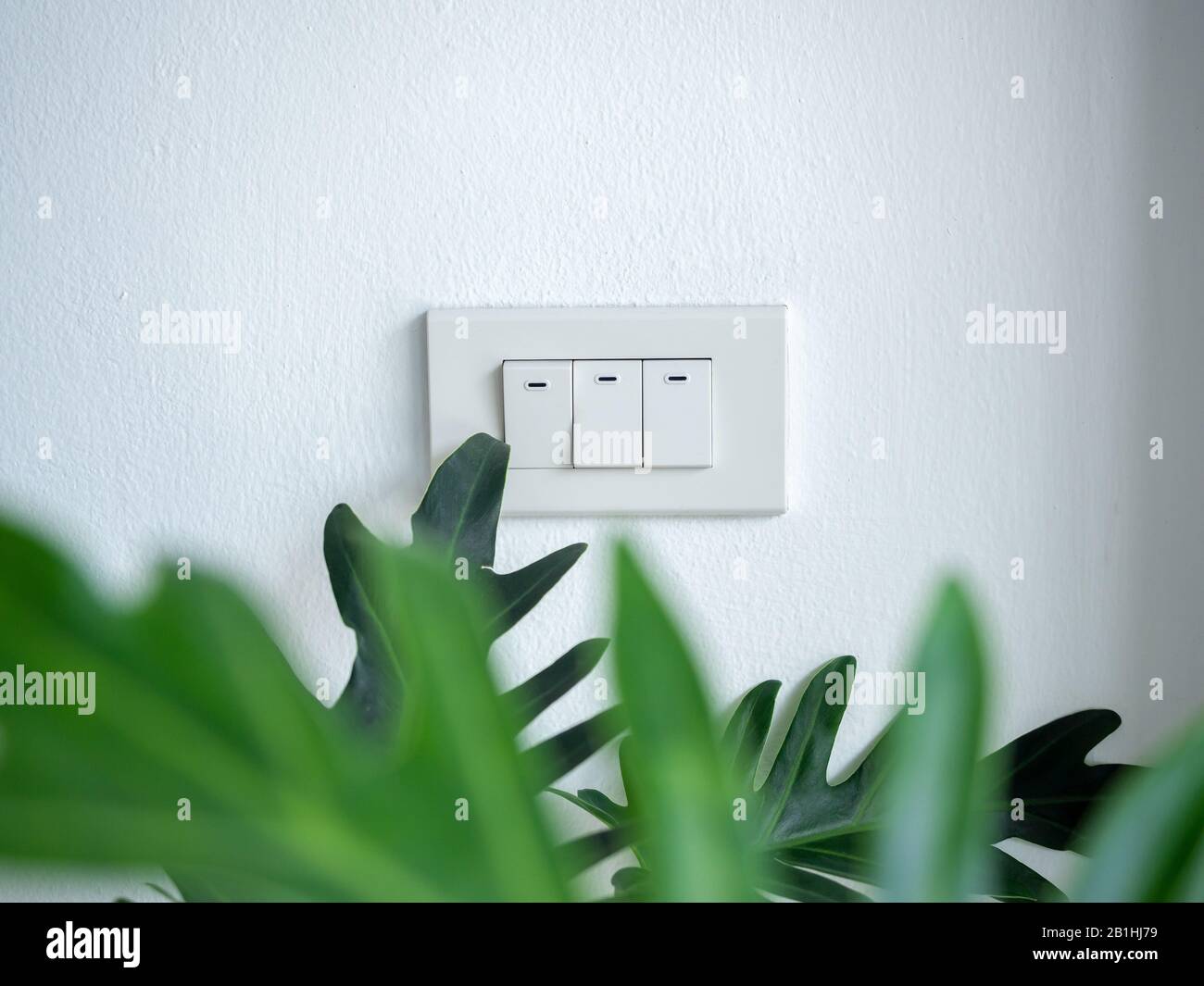 Three white light switches on white concrete wall with blurred green tropical palm leaves on foreground, minimal style. Stock Photo