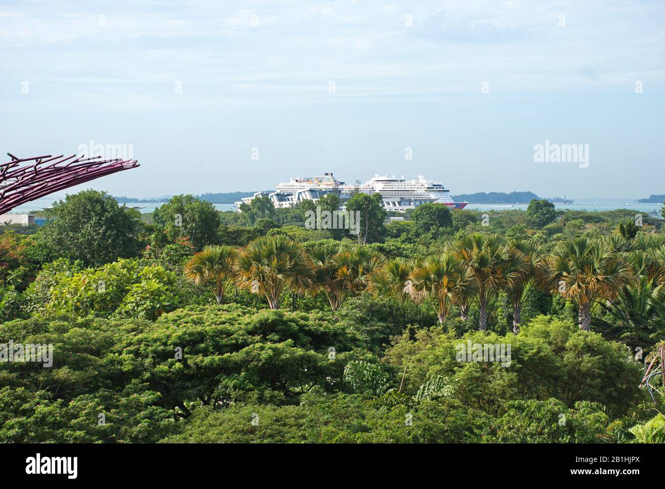 Cityscape of Singapore and Supertrees grove Stock Photo