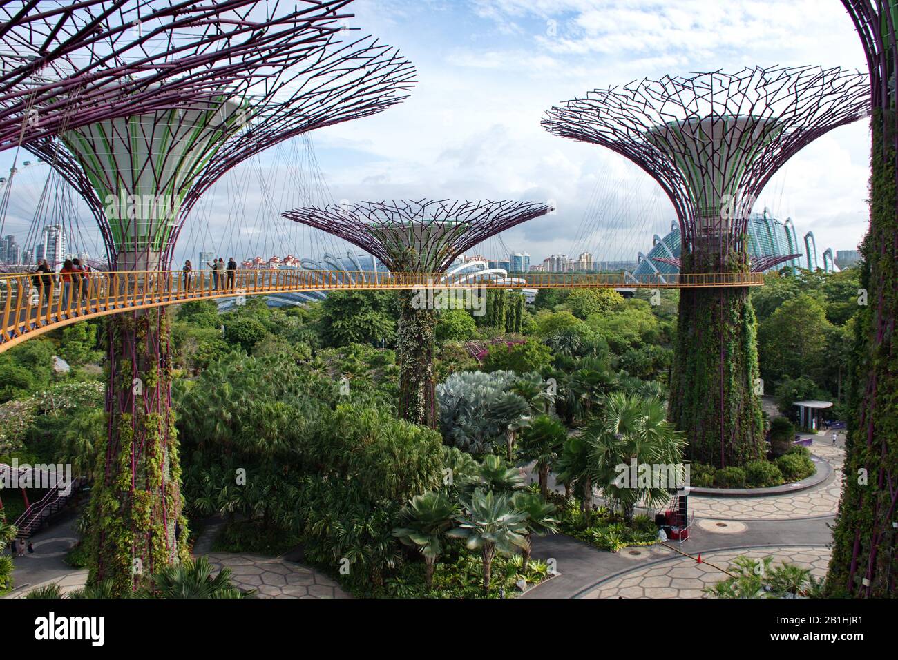 Walkway at The Supertree Grove at Gardens by the Bay in Singapore near Marina Bay Sands hotel Stock Photo