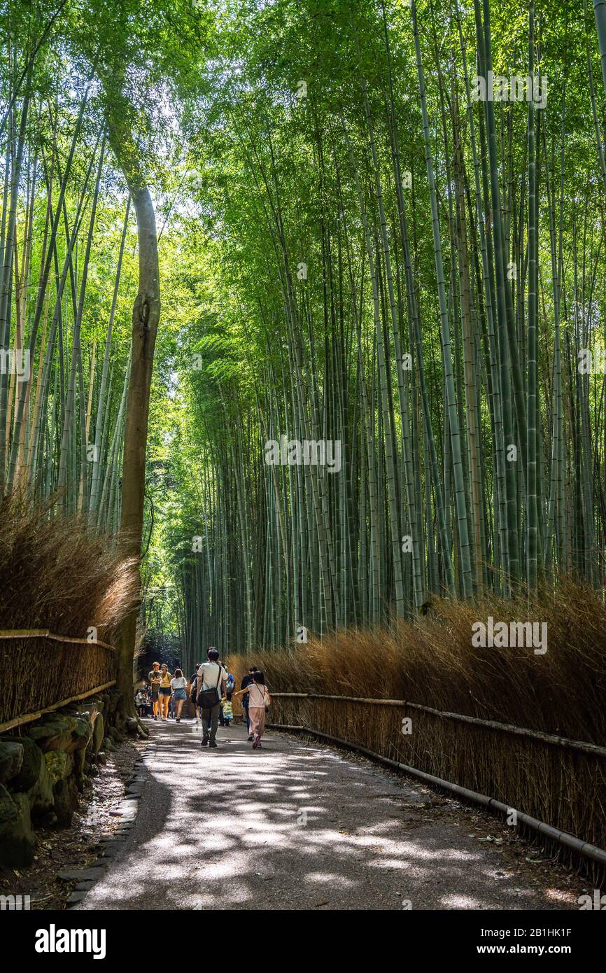 Arashiyama Bamboo Grove is one of Kyoto's most photographed and