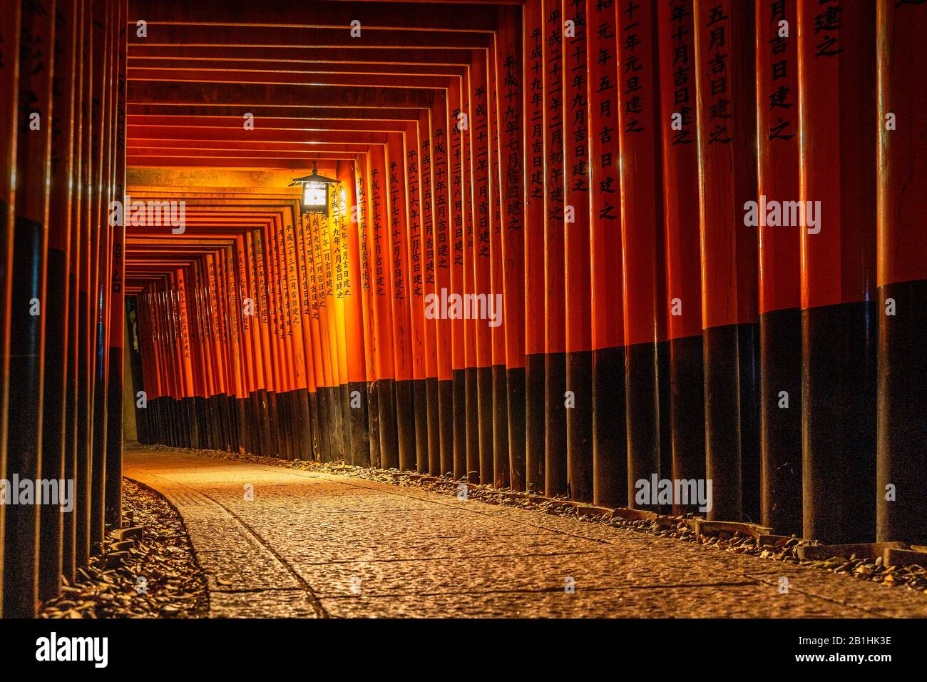 Night view of the famous tunnel of torii gates at Fushimi Inari shrine ...