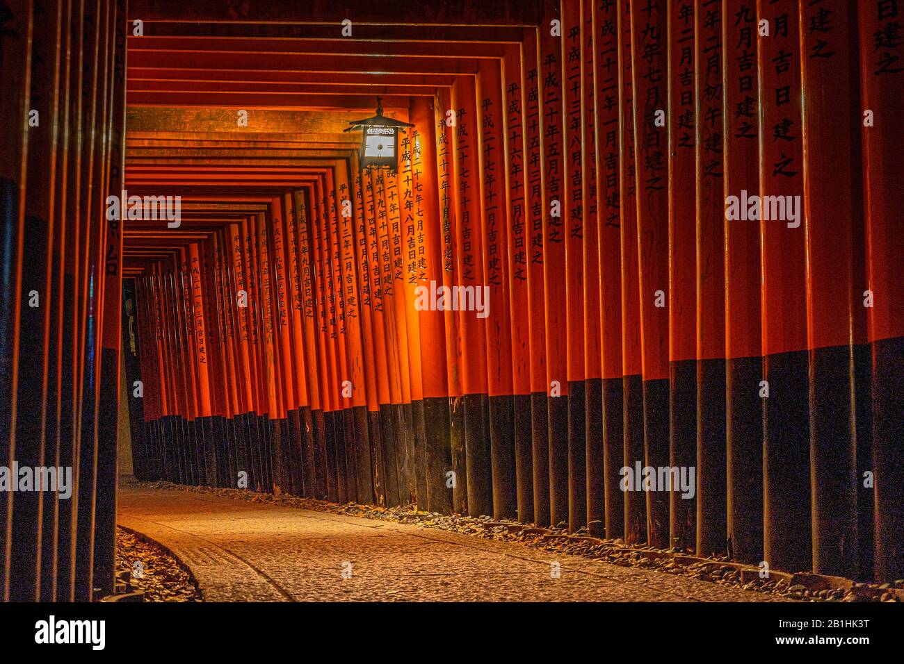 Night view of the famous tunnel of torii gates at Fushimi Inari shrine ...