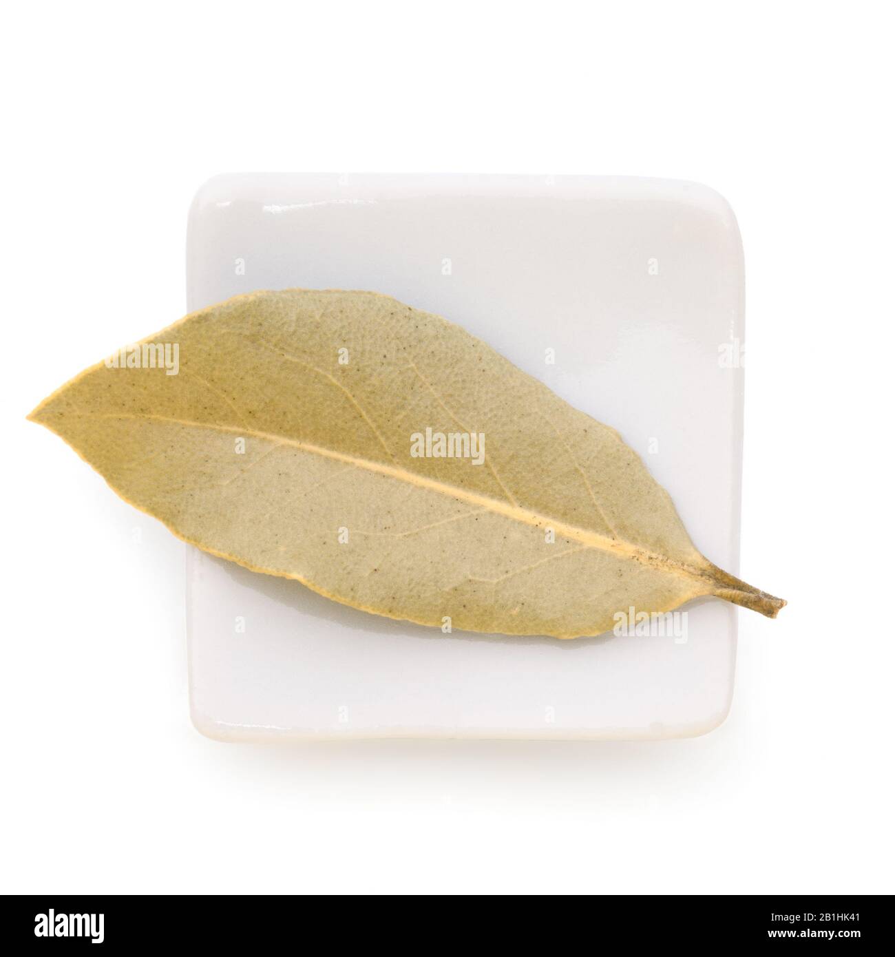 Bay Leaves in a white bowl on white background. Also called bay laurel or Laurus nobilis. Used as a spice in cuisines and also in medicine. Stock Photo