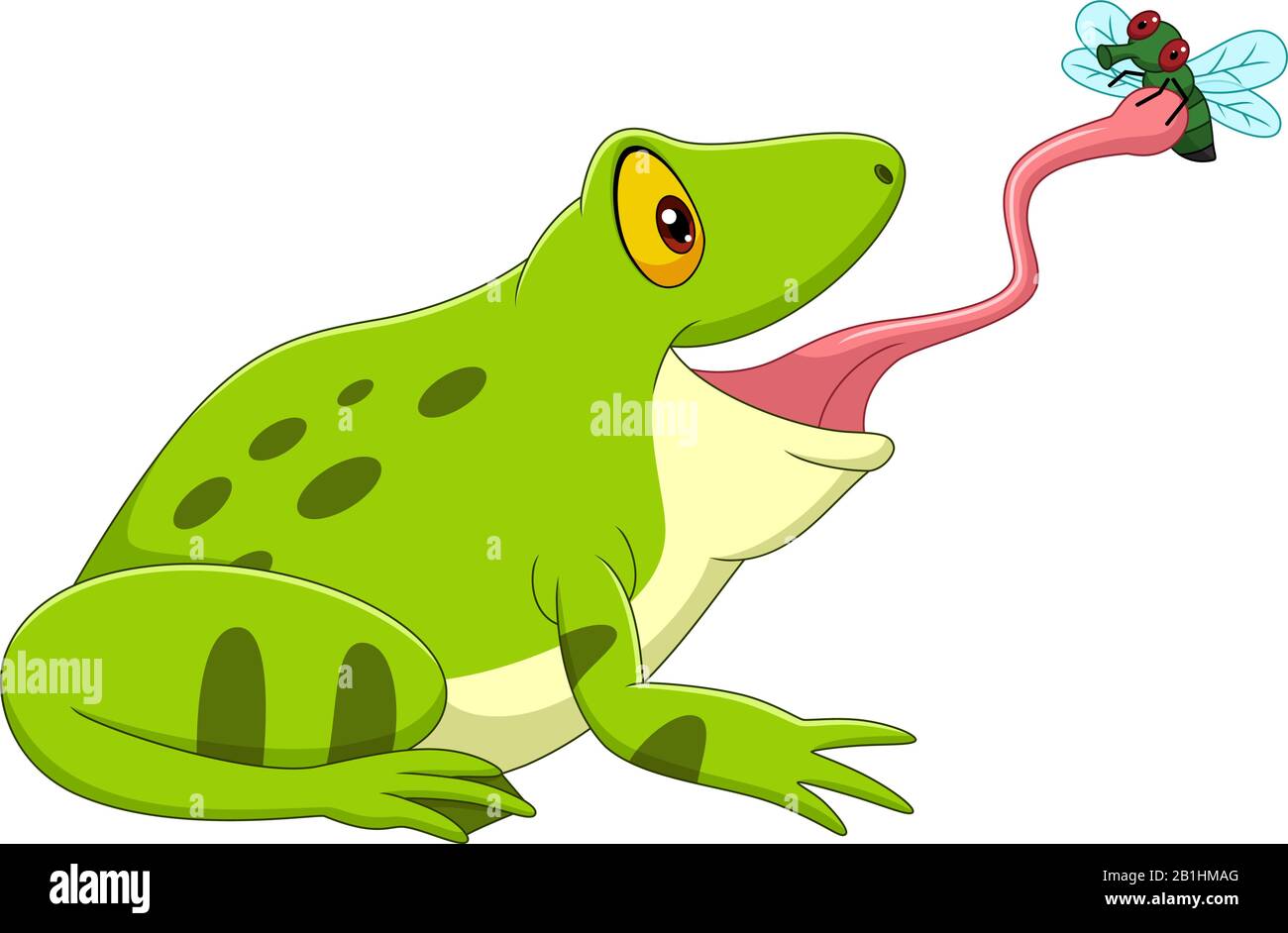 Cartoon frog catching a fly Stock Vector