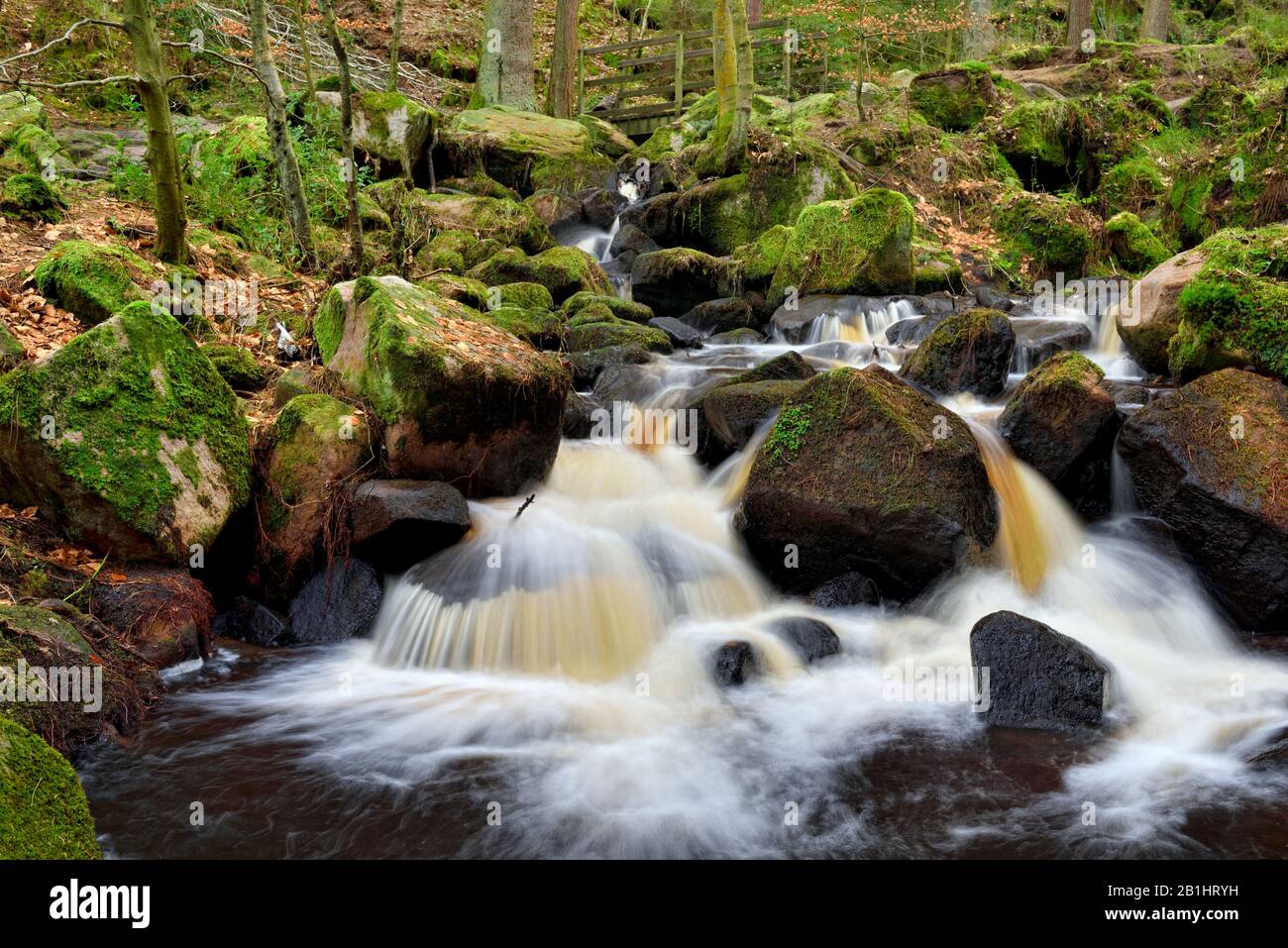 Wyming Brook,nature reserve,water fall cascades,peak district,Sheffield,England,UK Stock Photo