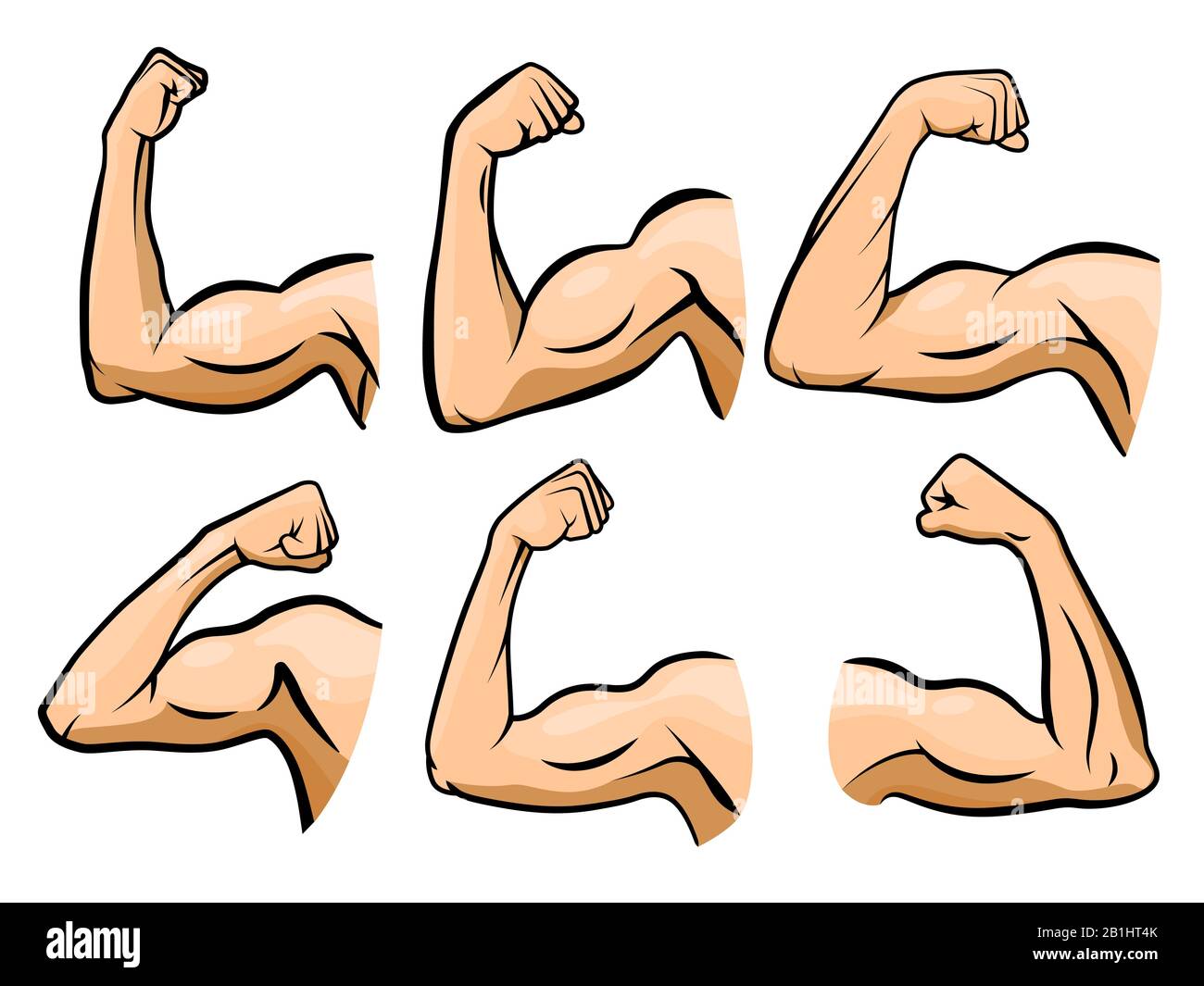 Strong arm, boxer arms muscles and strength hands hard gym vector illustrat...