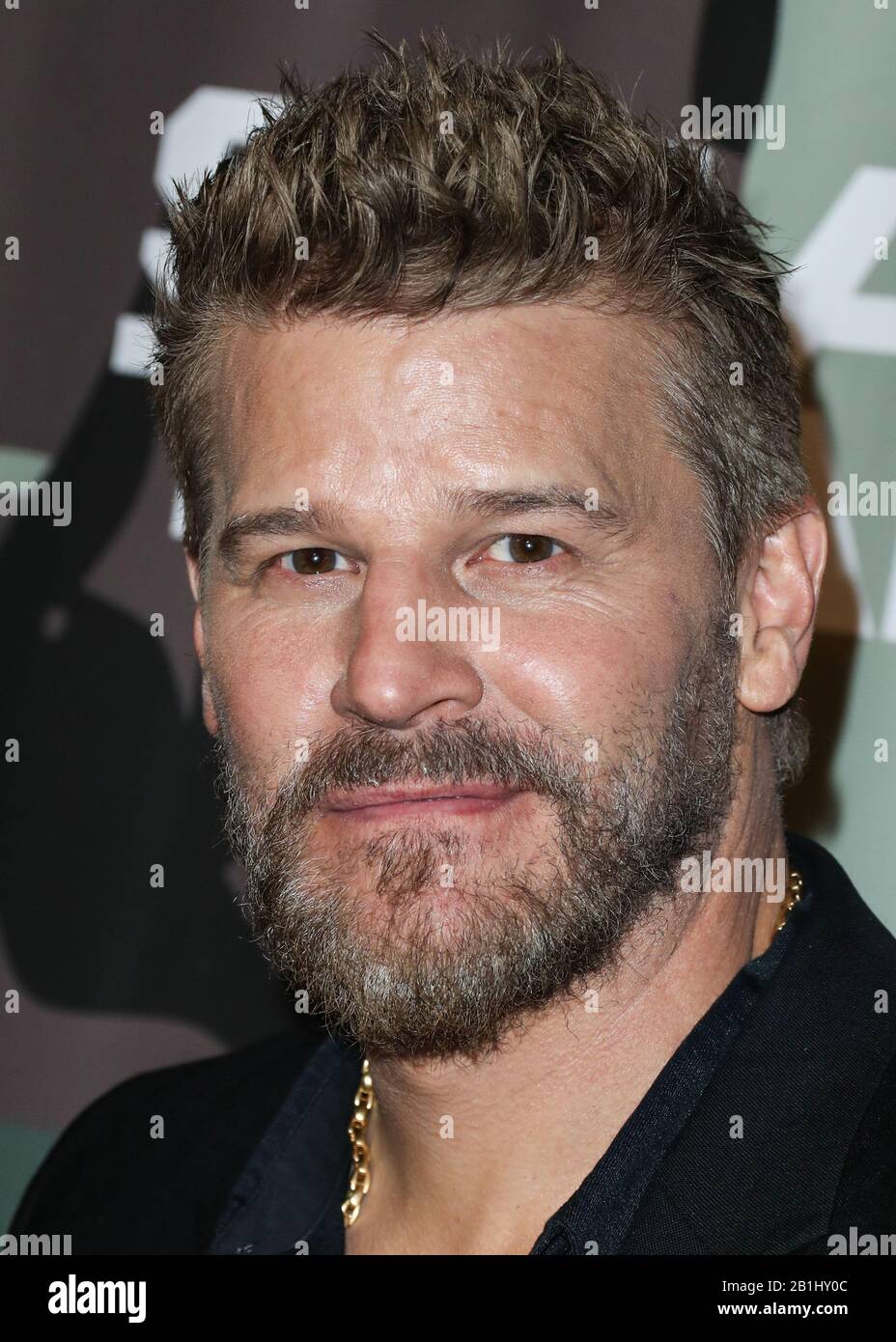 HOLLYWOOD, LOS ANGELES, CALIFORNIA, USA FEBRUARY 25 Actor David