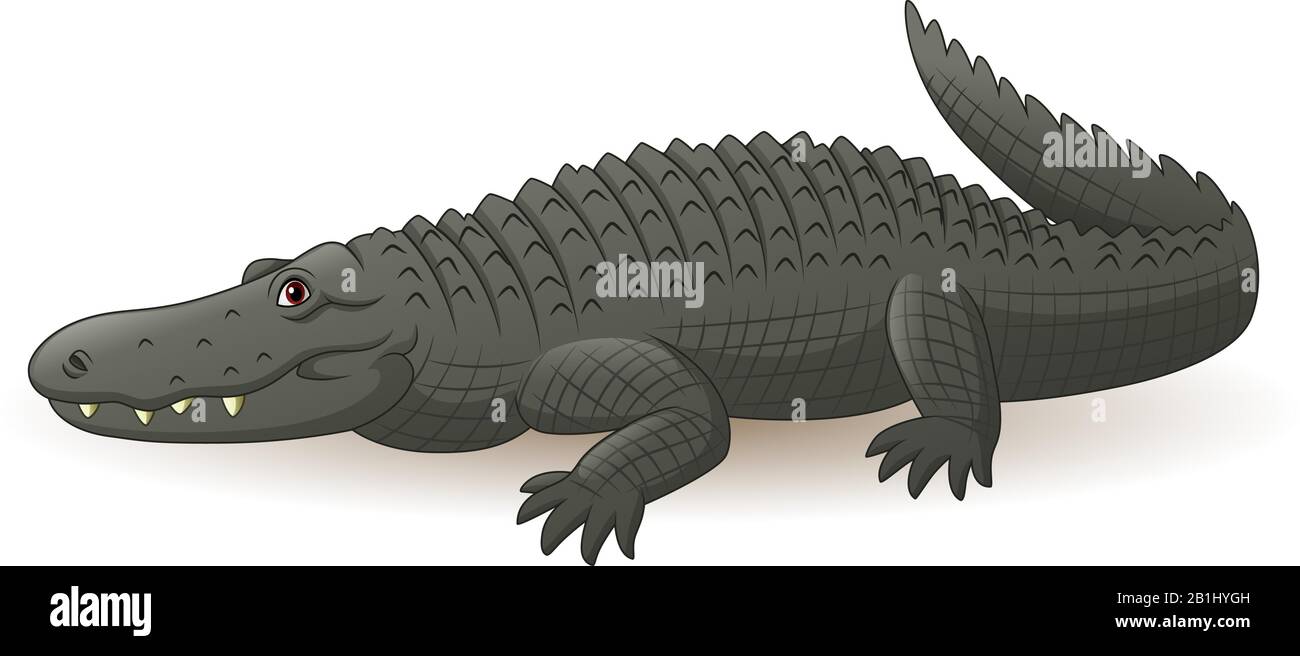 Cartoon grey alligator isolated on white background Stock Vector