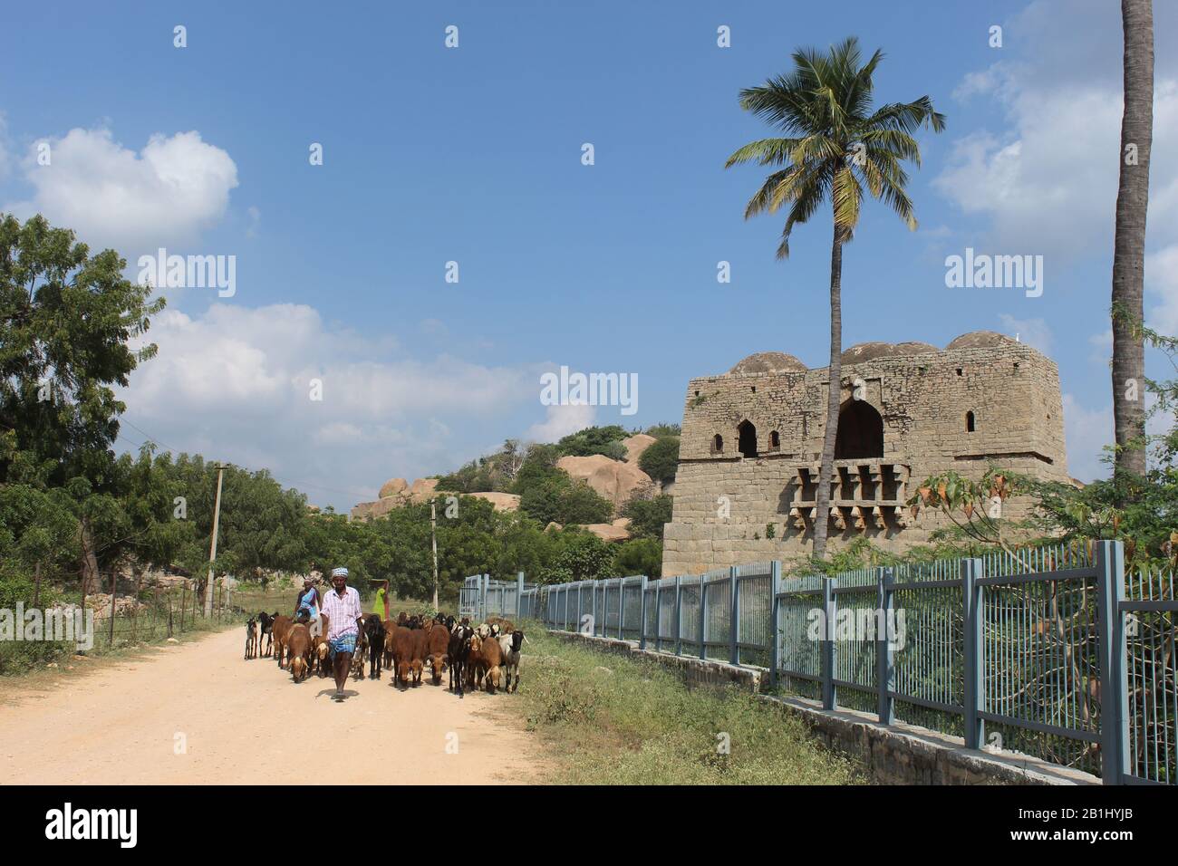 10 December 2019, Hampi, Karnataka, India. Shepherd with sheep on dusty road Stock Photo