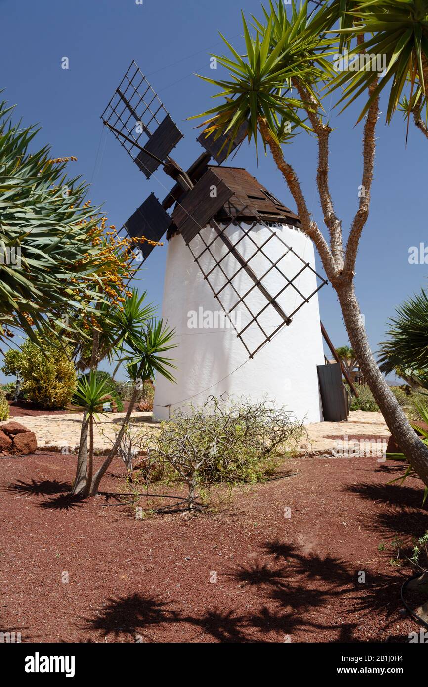 Old windmill at Centro de Artesania molino de Antigua in Fuerteventura, Canary Islands Stock Photo