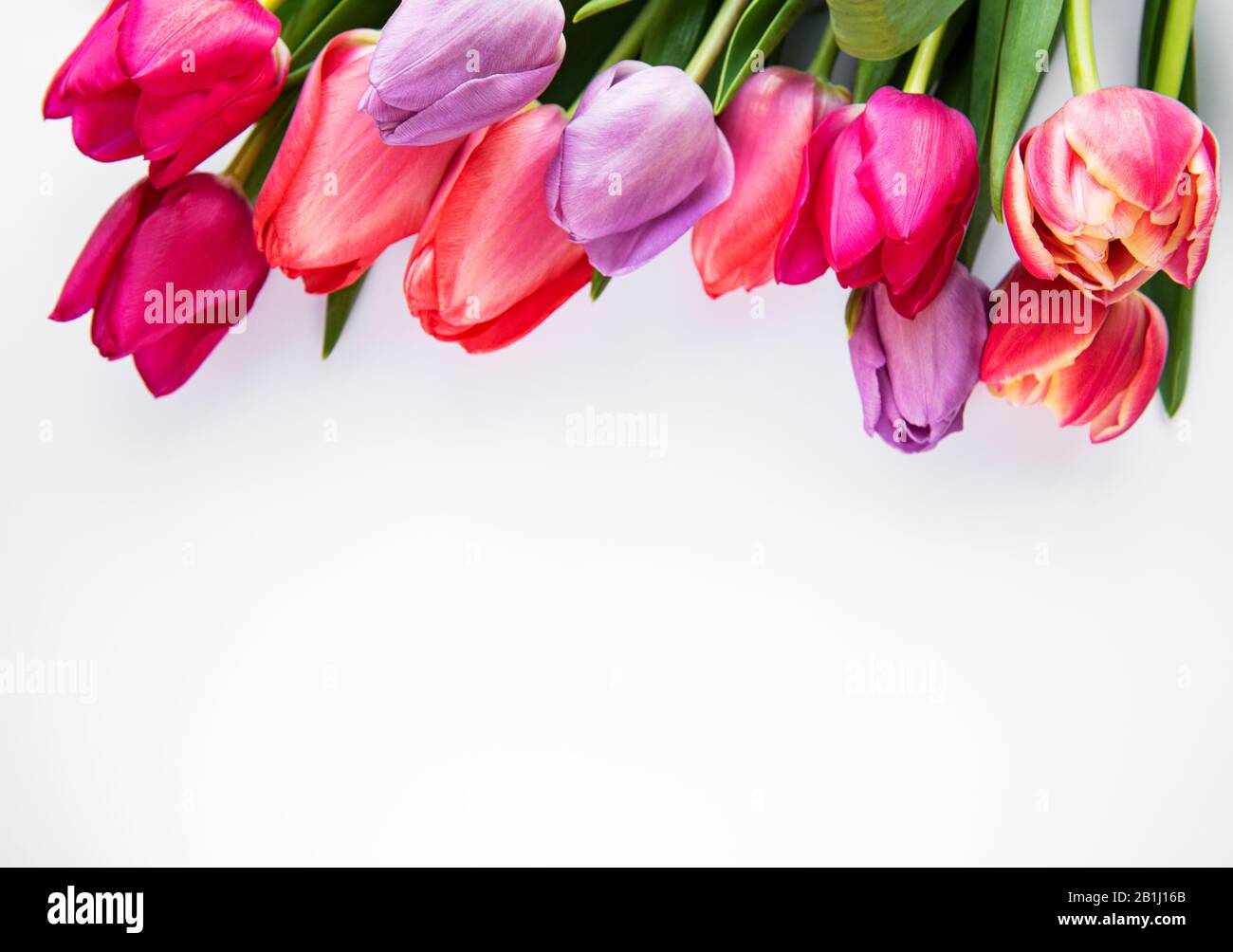 Beautiful tulips bouquet isolated on a white background Stock Photo - Alamy