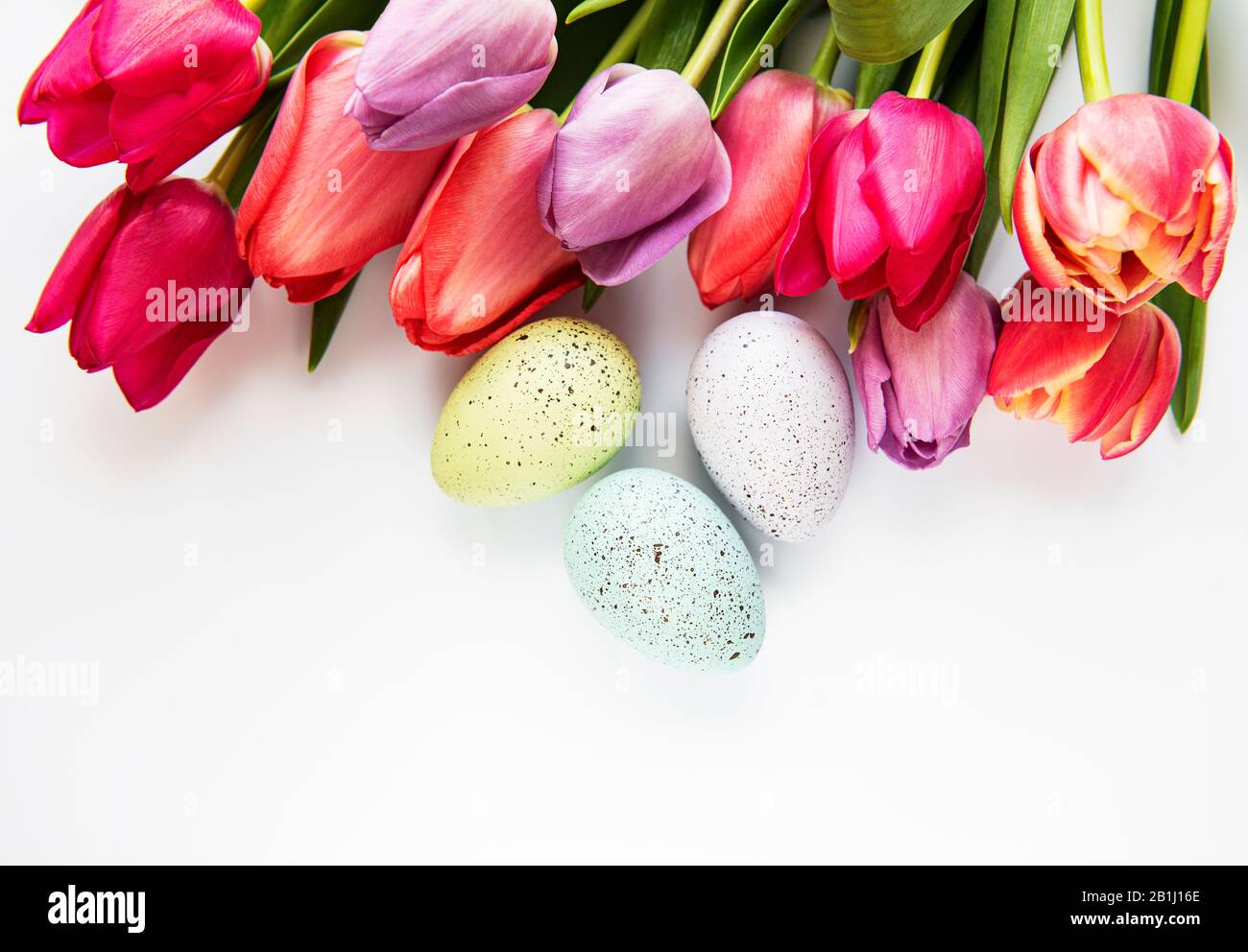 Spring tulips and Easter eggs isolated on a white background Stock ...