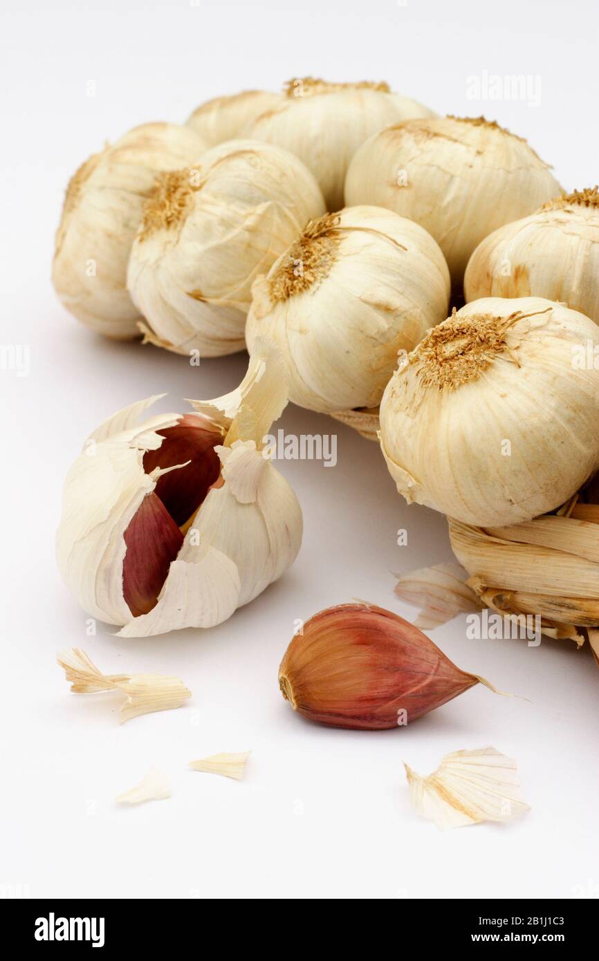 Garlic braid or plait closeup on a white background Stock Photo