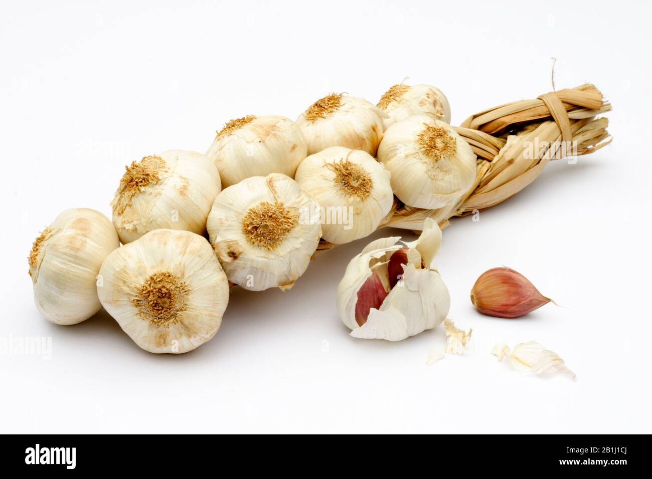 Garlic plait, string of garlic bulbs with pods in the foreground Stock Photo
