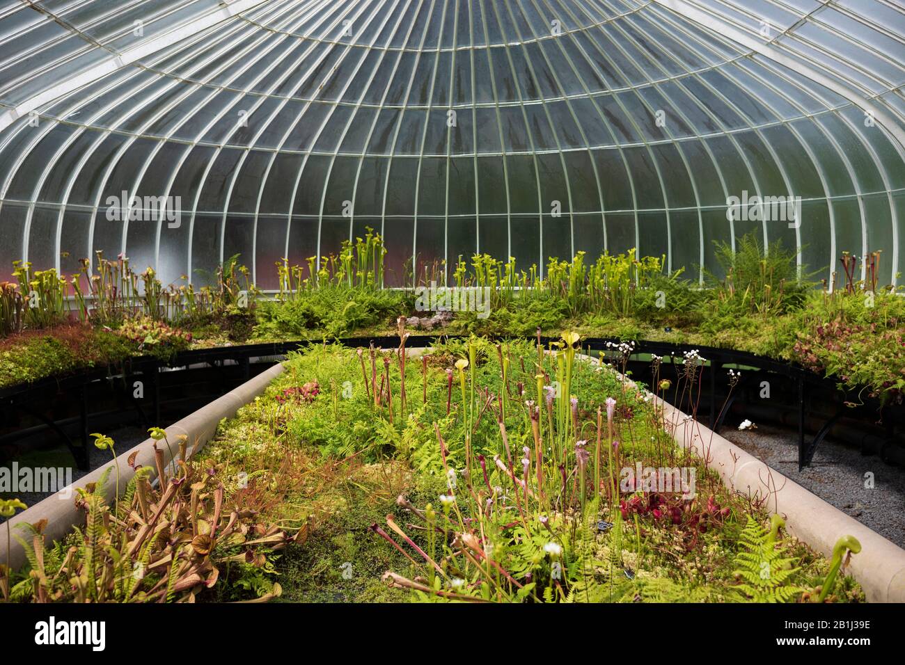 Glasgow, Scotland/UK June 30, 2019 Glasgow Botanic Gardens, a