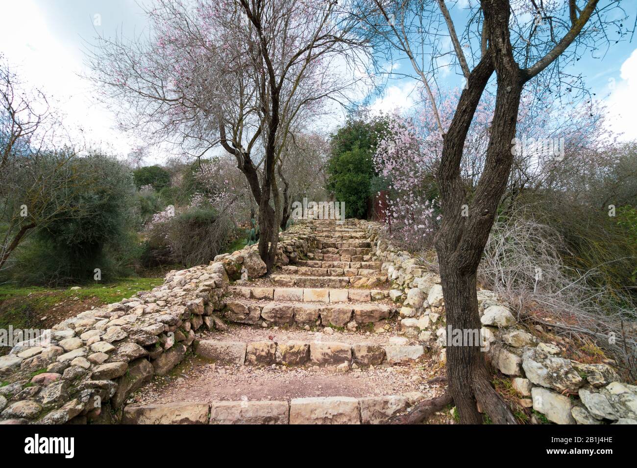 Hike in the Jerusalem Mountains, ancient stairs leading to an ancient and large pool. Winter, sataf reserve. For short, challenging walking enthusiast Stock Photo