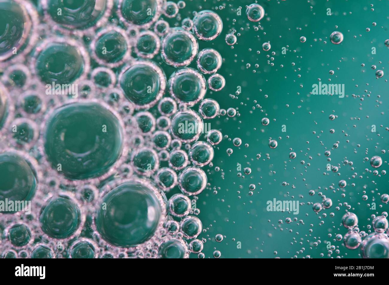 Bubbles of oxygen or air in liquid. Macro. Oxygen bubbles in water