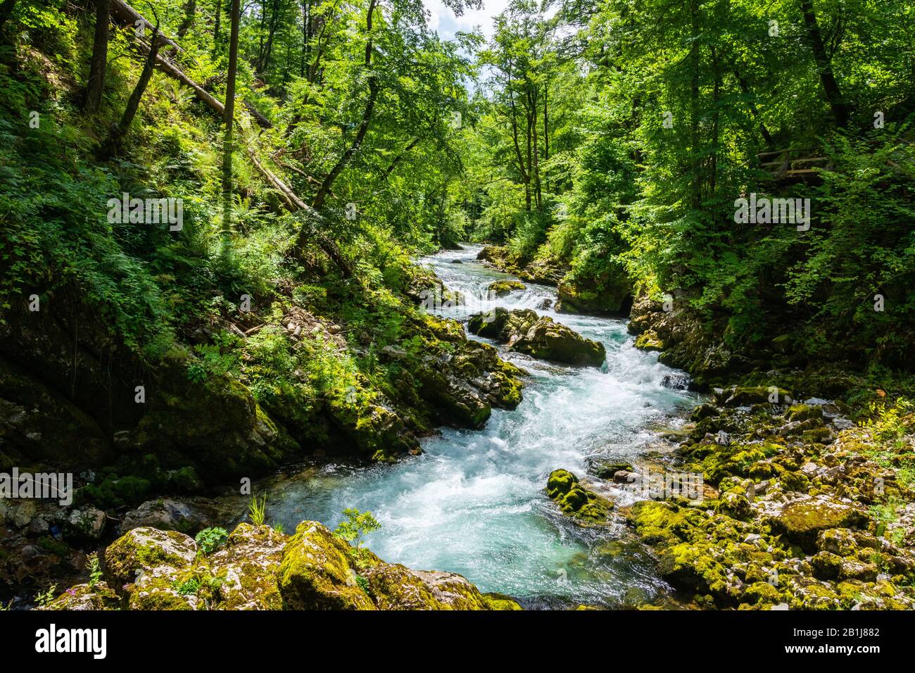 Landscape in Vintgar Gorge (Soteska Vintgar) near Bled town in Slovenia. Carved by the Radovna River, it is the continuation of the Radovna Valley. Stock Photo