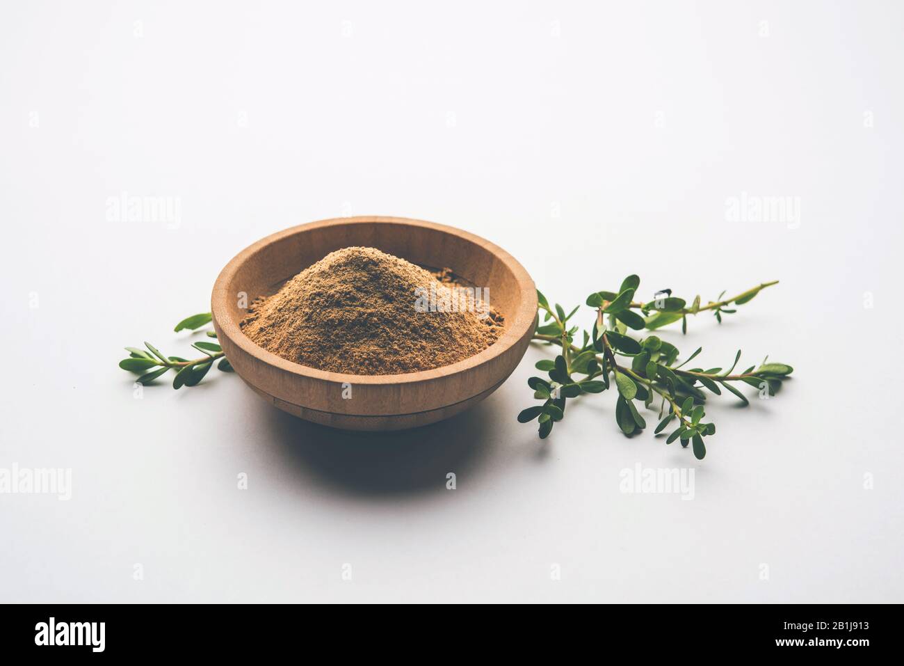Bacopa monnieri herb plant or Ayurvedic Brahmi plant with powder in a ...