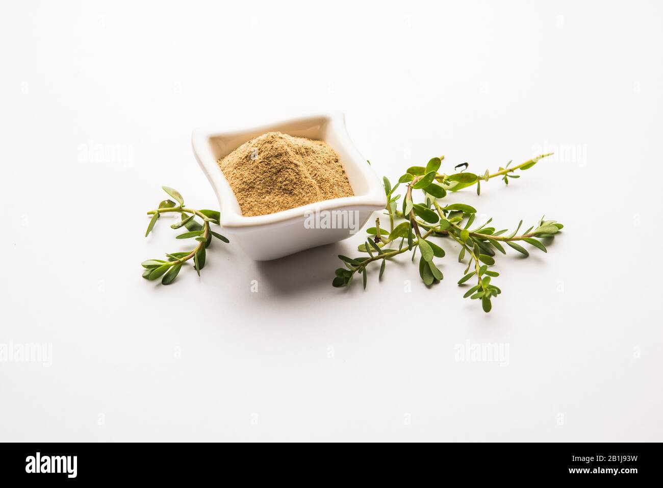Bacopa monnieri herb plant or Ayurvedic Brahmi plant with powder in a ...