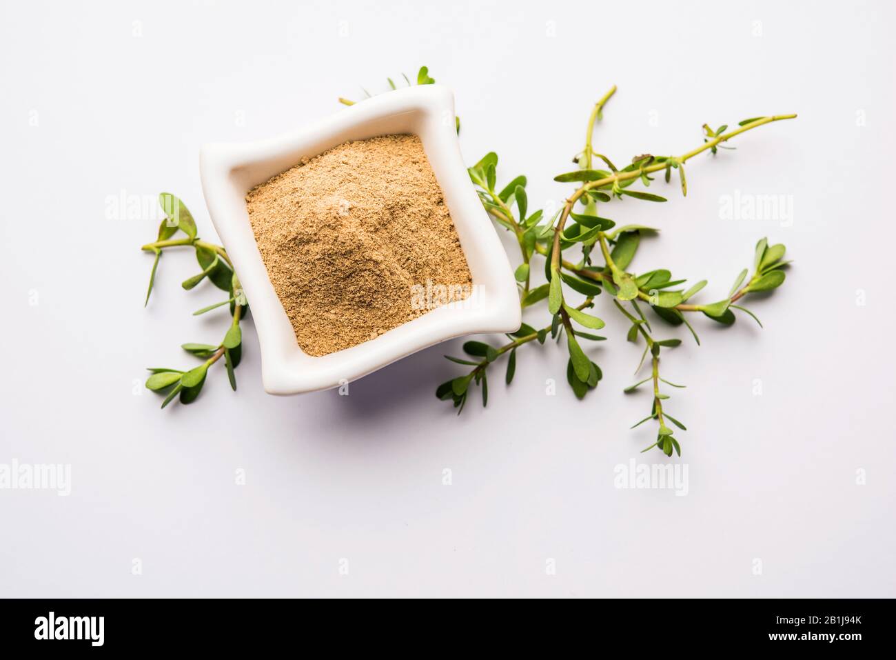Bacopa monnieri herb plant or Ayurvedic  Brahmi plant with powder in a bowl, selective focus Stock Photo