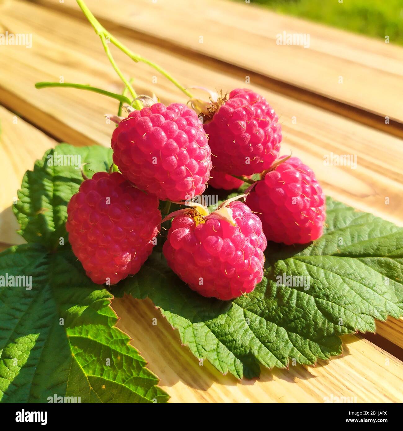 Raspberry lying on green leaves on wooden background Stock Photo