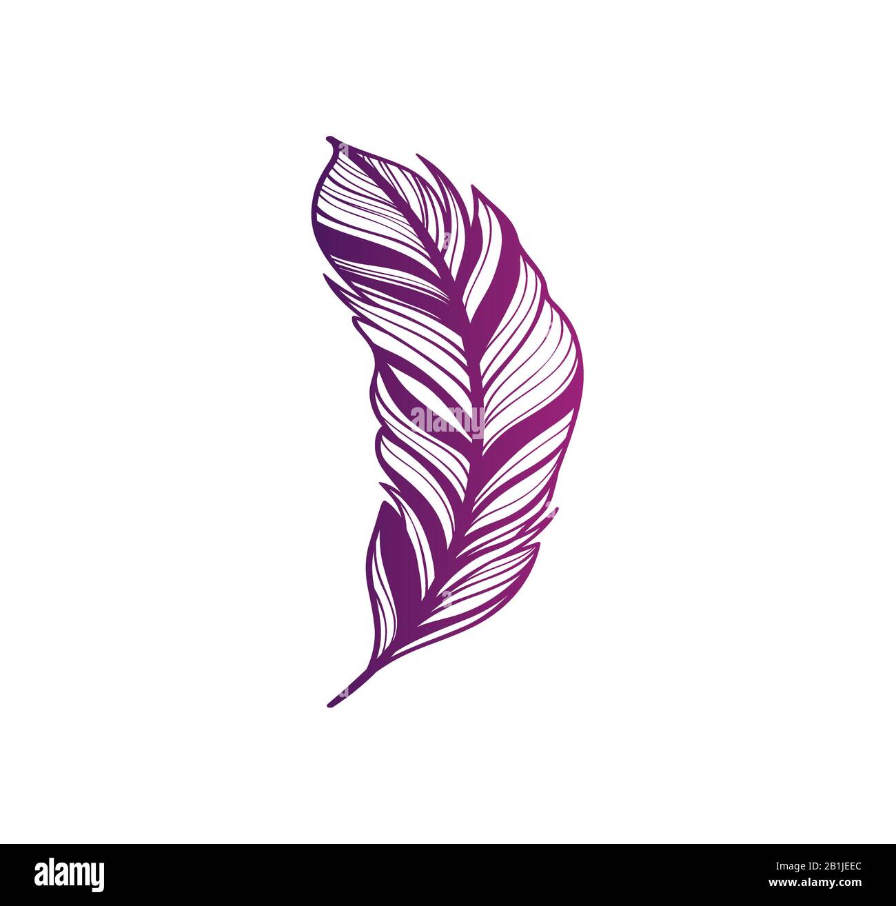 Violet gradient design print feather vector illustration Stock Vector