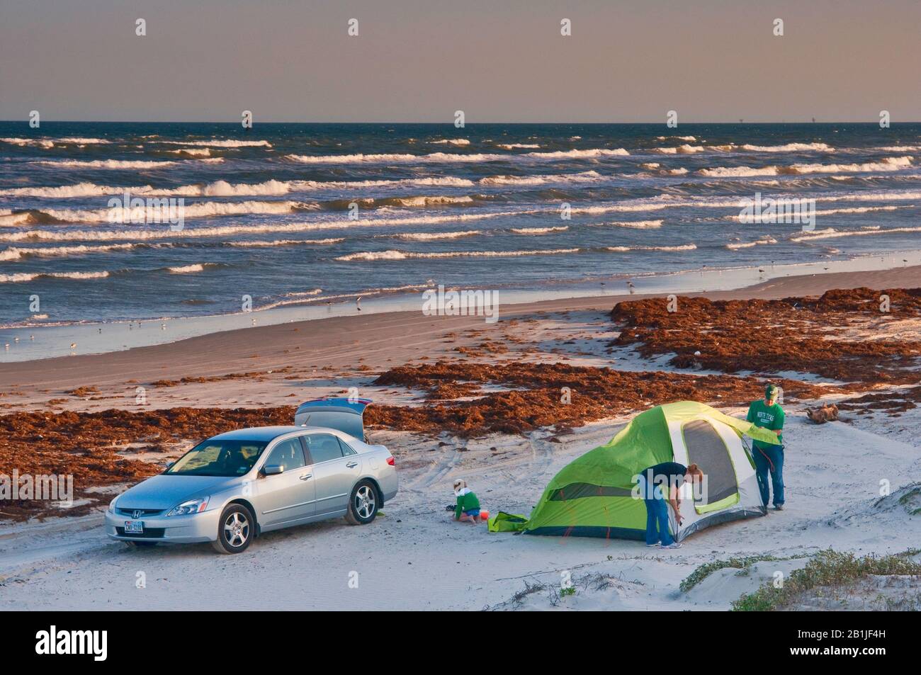 Camping On Beach Covered With Seaweeds Gulf Of Mexico Mustang Island State Park Gulf Coast Texas Usa Stock Photo Alamy