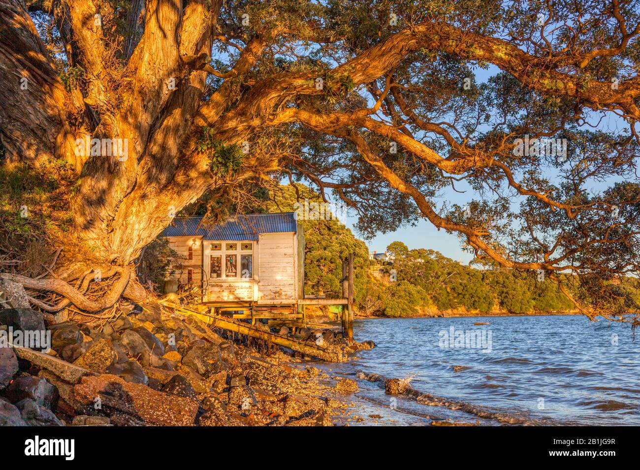 Northcote point auckland hi-res stock photography and images - Alamy